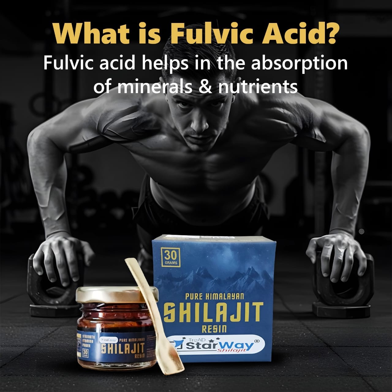 Shilajit Resin 30 gram